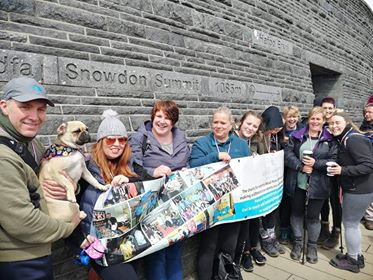 Fundraisers at Snowdon's summit