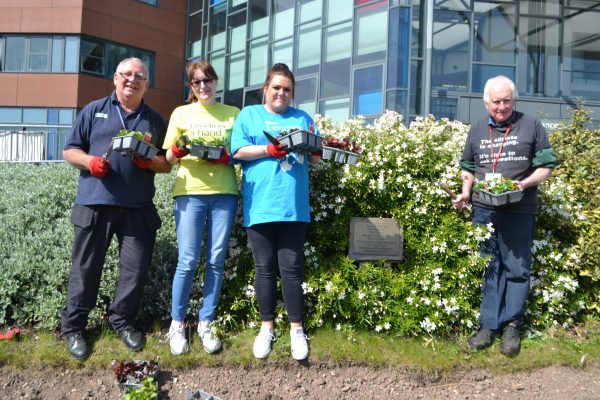 Volunteers plant the Well Wishers flowerbed
