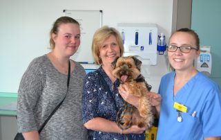 Karli the dog visited ICU