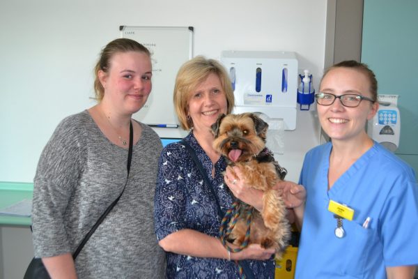 Karli the dog visited ICU