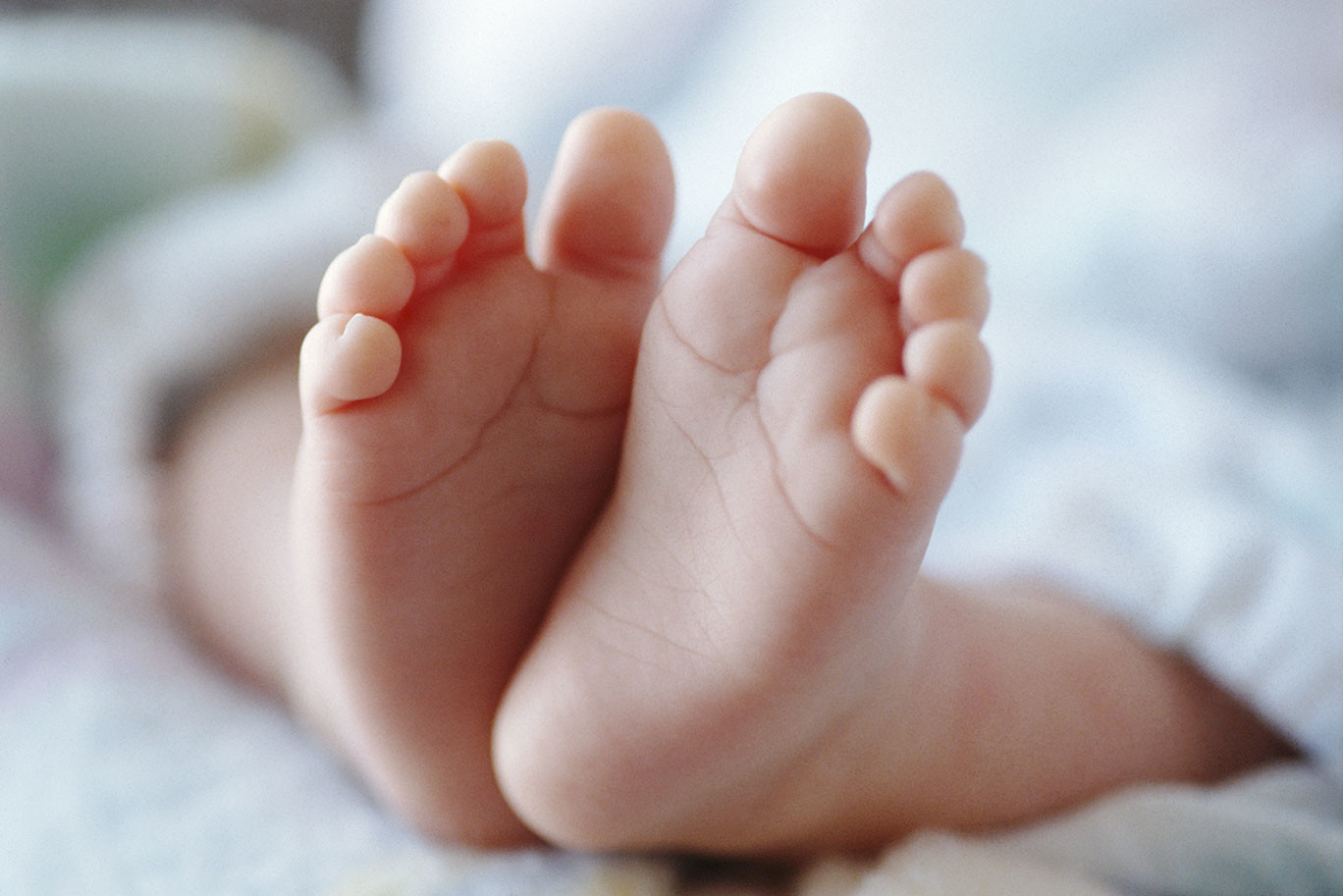 A baby's feet