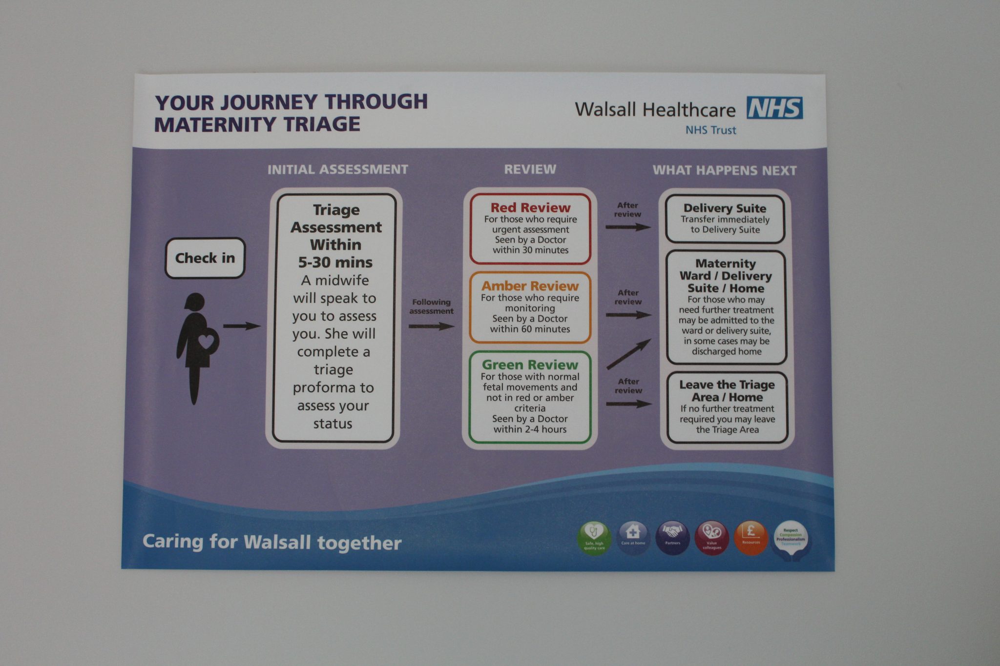 triage infographic