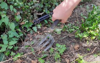 A photo of someone using a fork to garden with