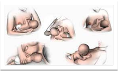 NN7 Pic