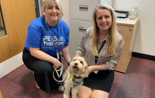 Charlie the dog on his trial visit.