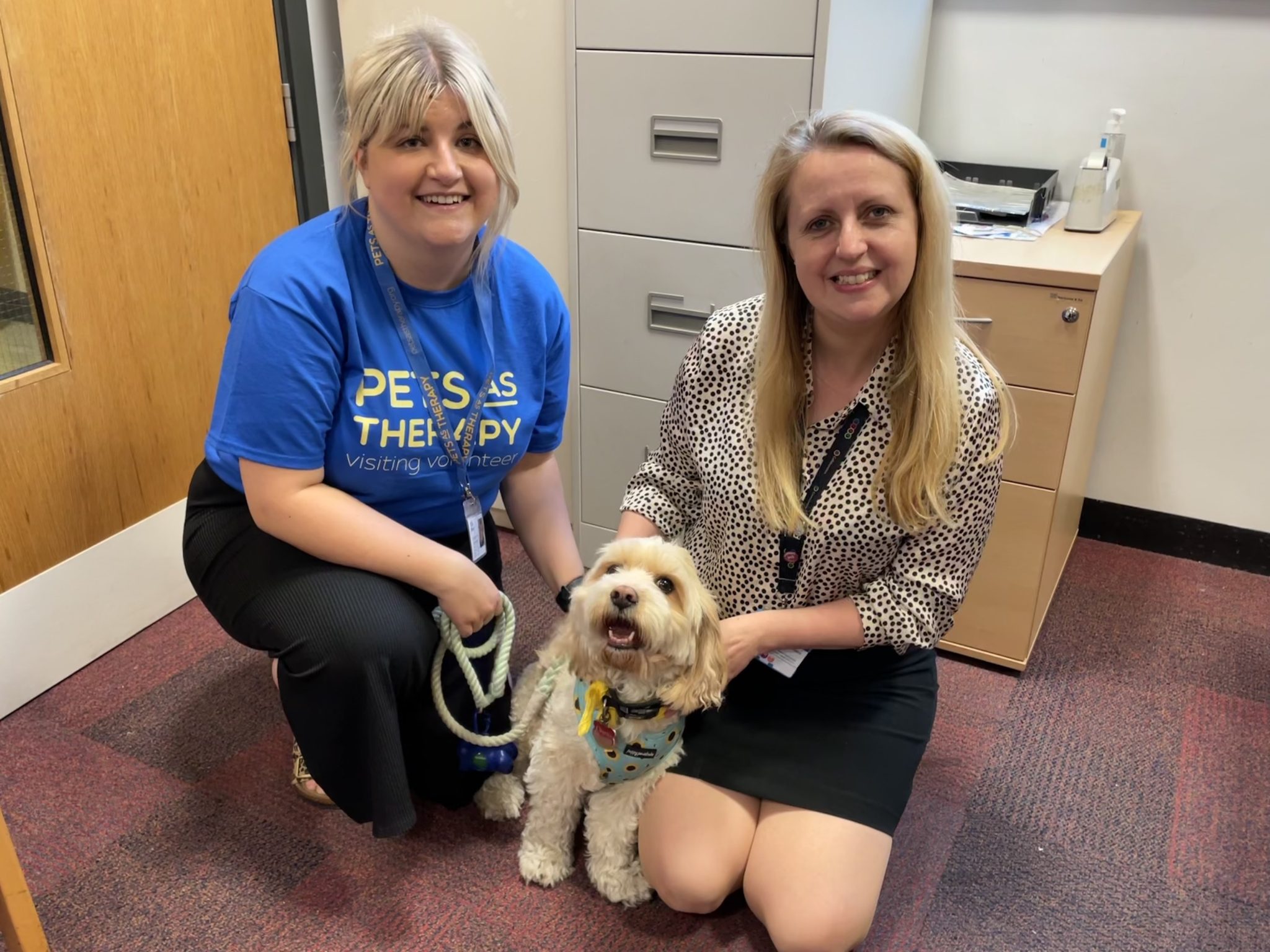 Charlie the dog on his trial visit.