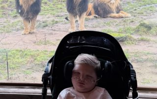 Jude with the lions