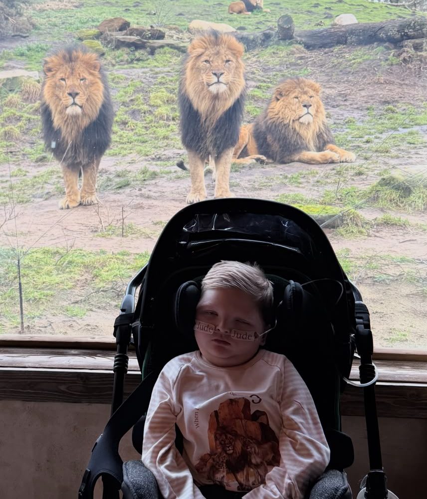 Jude with the lions